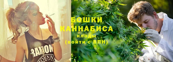 PSILOCYBIN Абдулино
