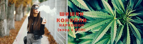 PSILOCYBIN Абдулино